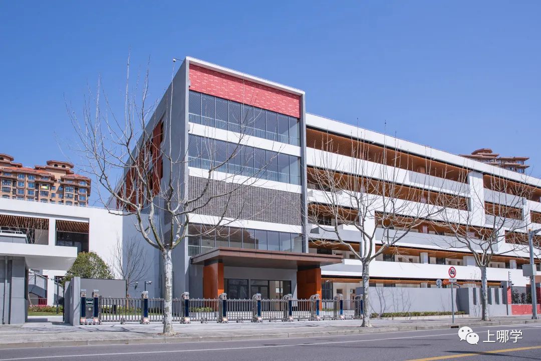 上海2020新增学位,上海各大学2024新增学位点