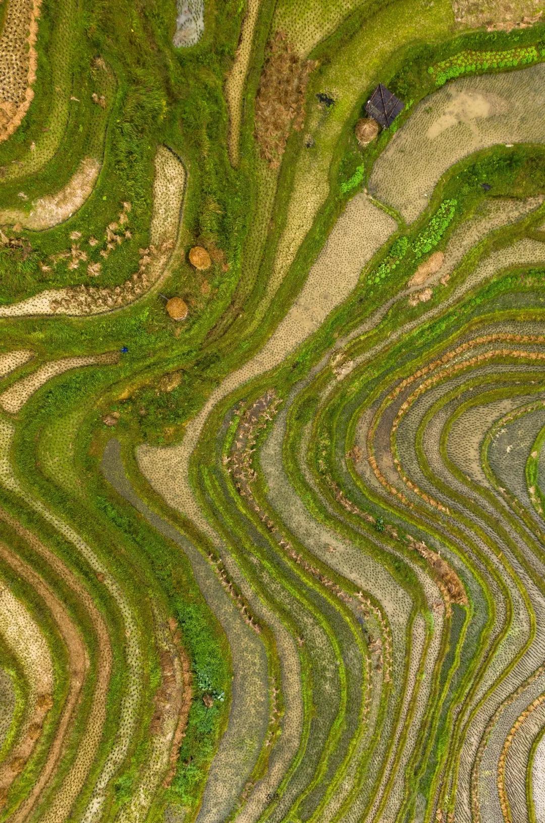 农造田野丨总有一根神经通往乡野|月亮山百里梯田