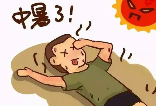 不光人类怕高温,蜘蛛也会中暑,看看蜘蛛发明的两大避暑特技