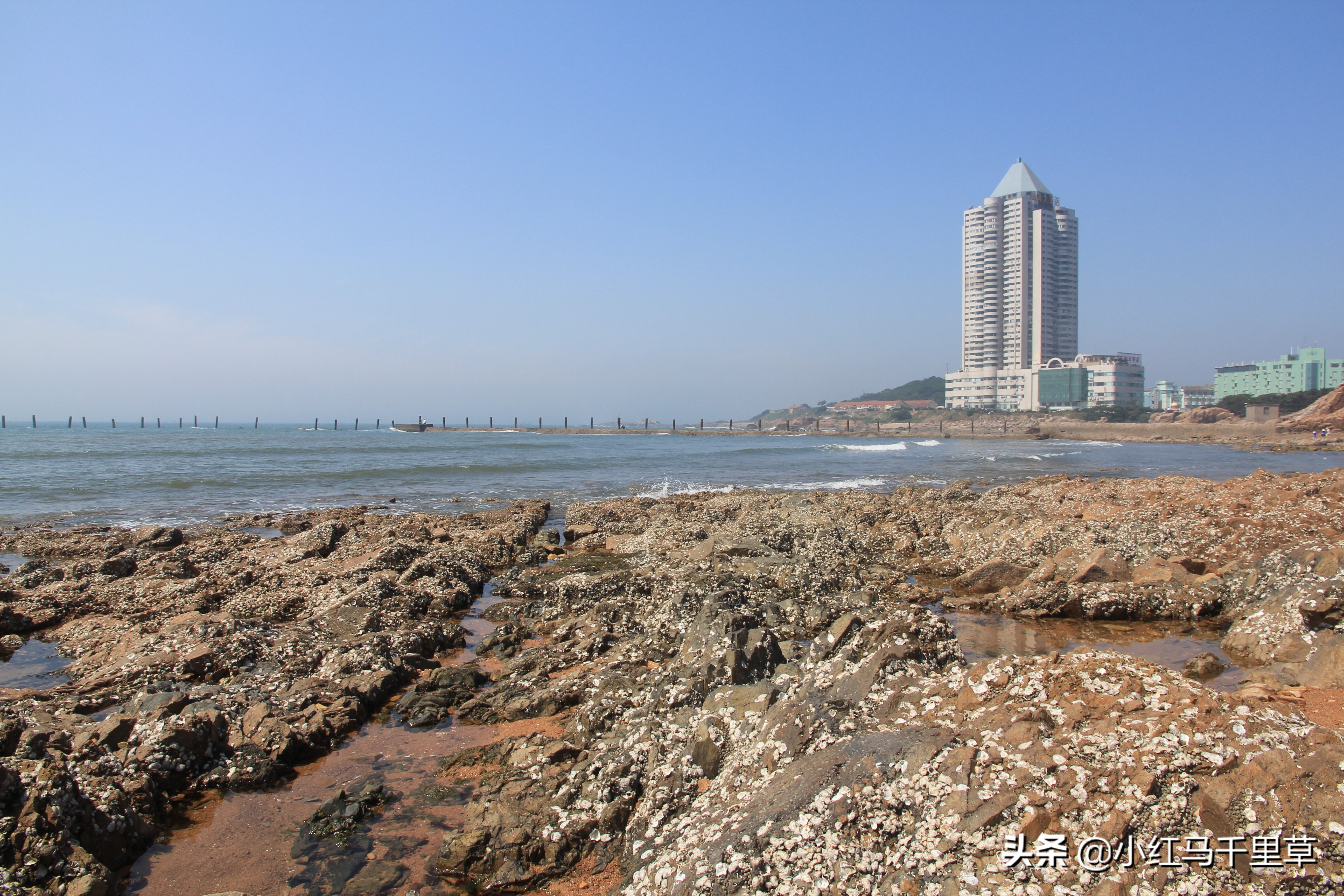 好客山东青岛旅游攻略,好客山东浪漫青岛