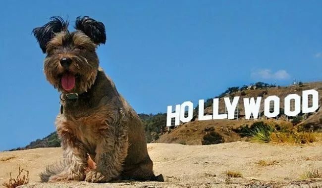 旅行100个冷知识,旅行冷知识500例