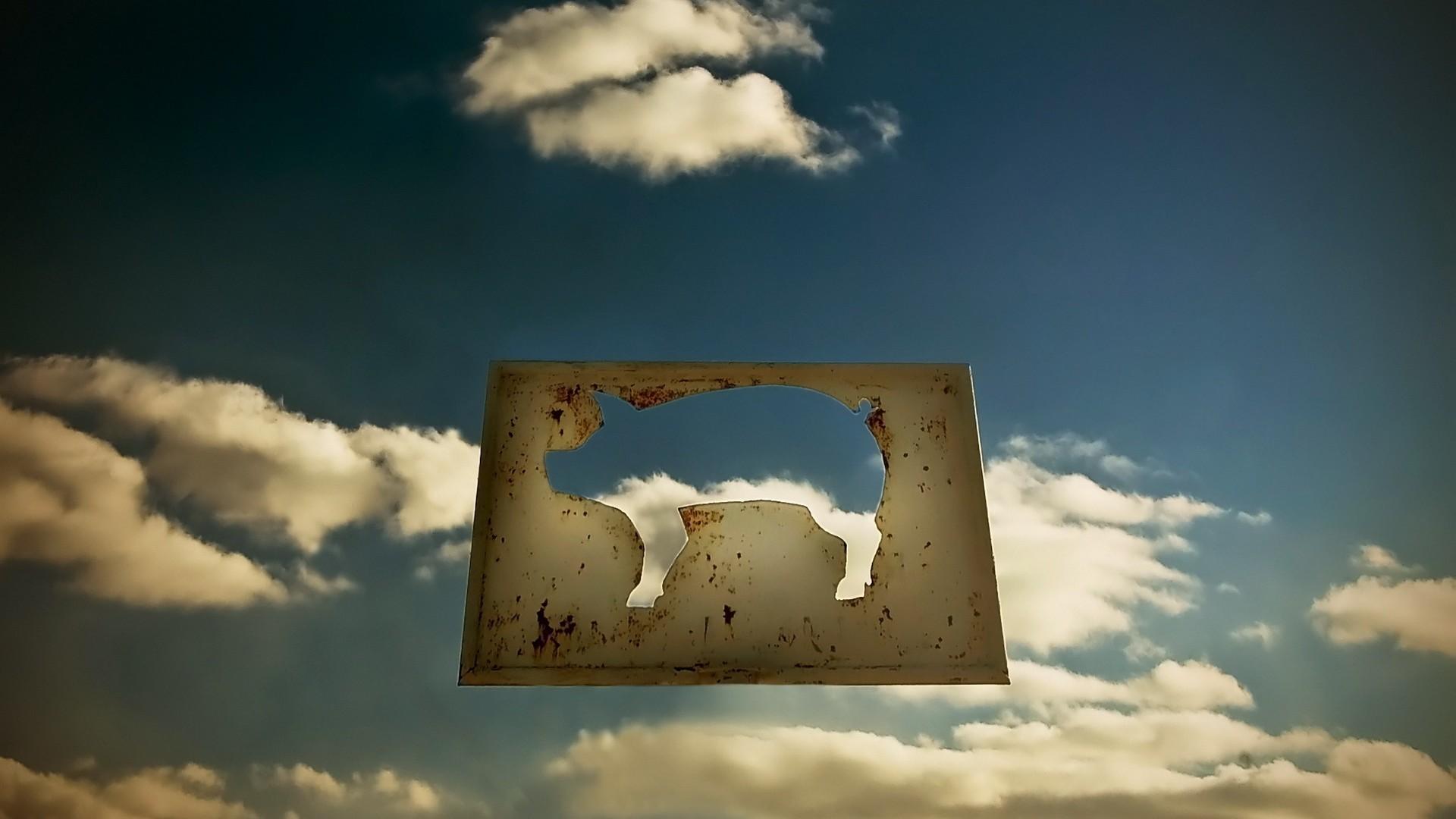 清晰好看有太阳的桌面壁纸图文,提高效率的桌面壁纸