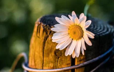 如果你感觉很累就出去走走,如果你不想工作了就去四个地方