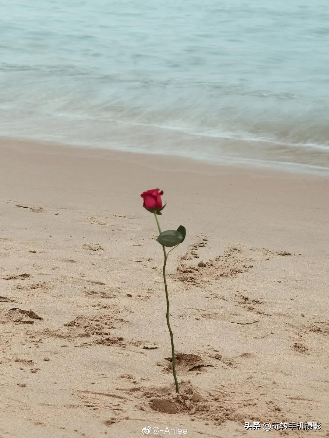 学会海边拍照,怎么拍出好看的海边照