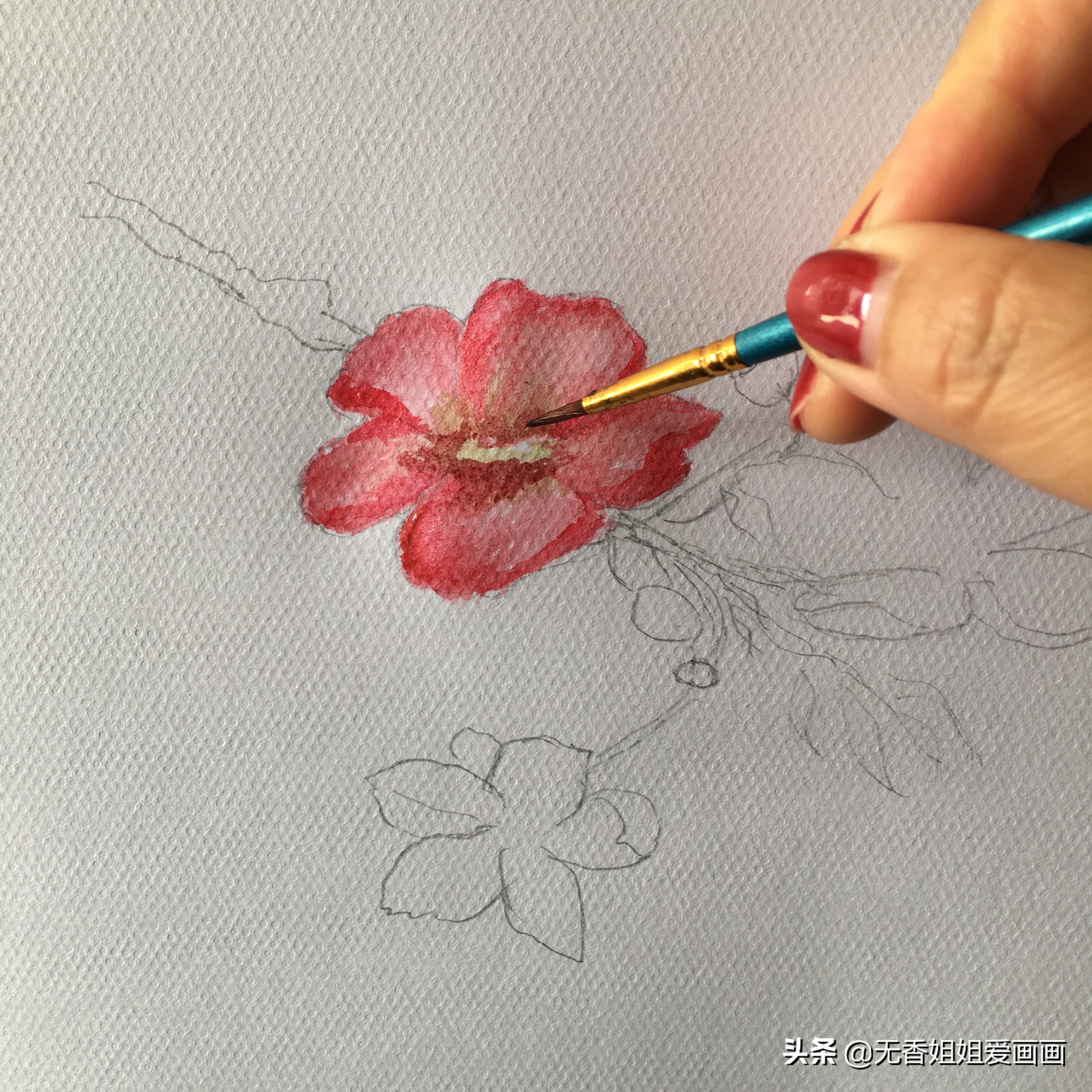 手绘桃花图片小学,马克笔手绘教程桃花