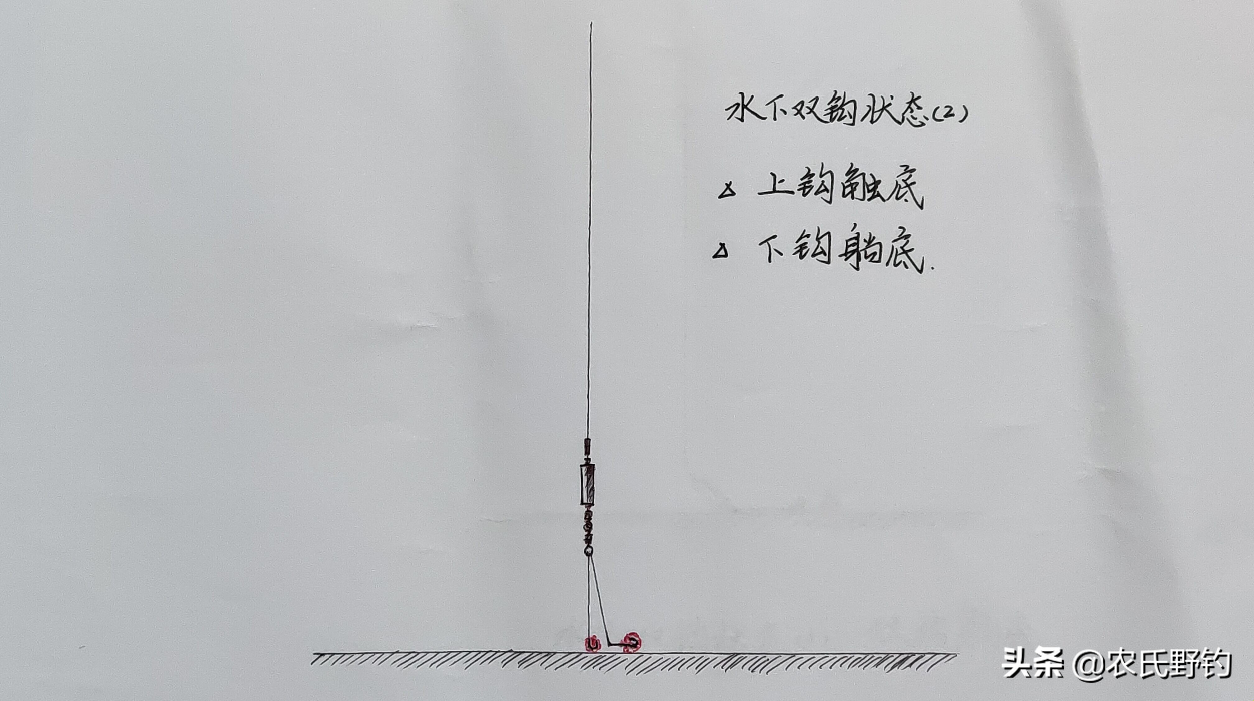 学会这种钓法，野钓鲮鱼一口一个准，爆护不再是只是传说