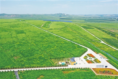 中央生态环保督察通报的案例,中央生态环保督察通报案例