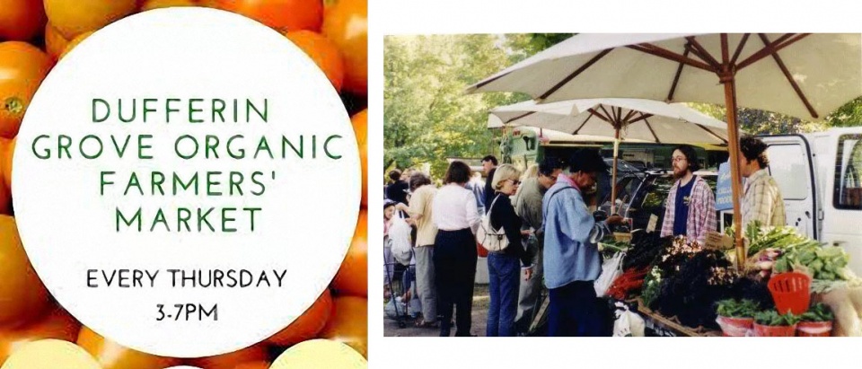 多伦多海鲜市场购物 (多伦多最有名的市场)