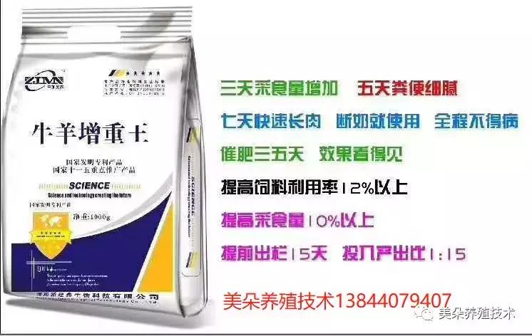 史上最细的打法技巧,输精法的技术要点和注意事项