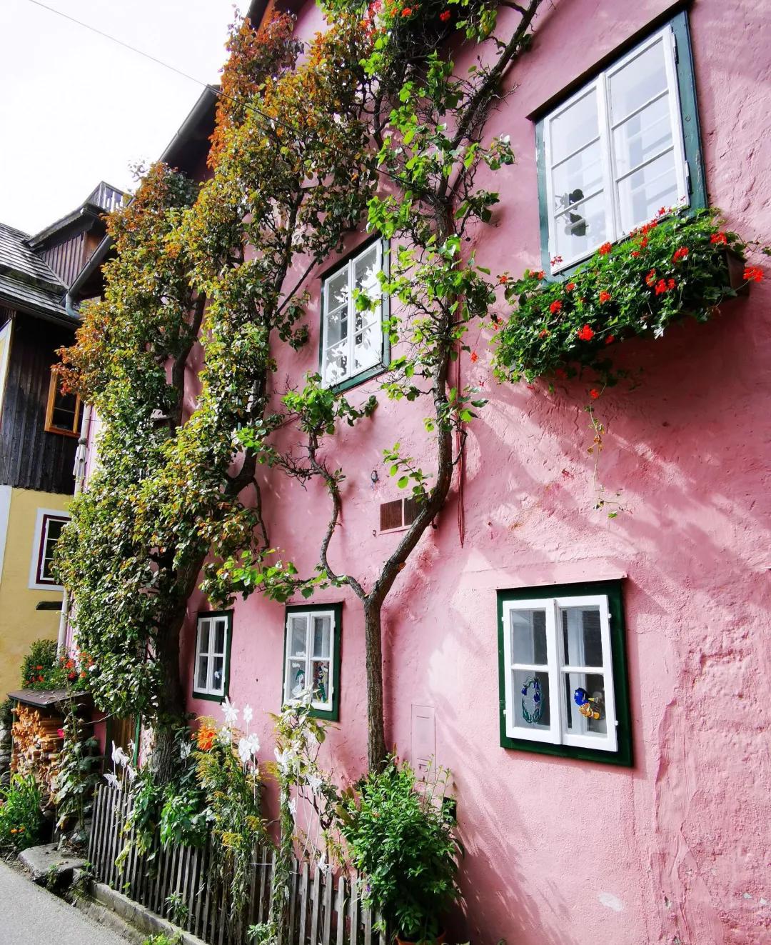 东北花园四季开花植物,北方一年四季都开花的花园