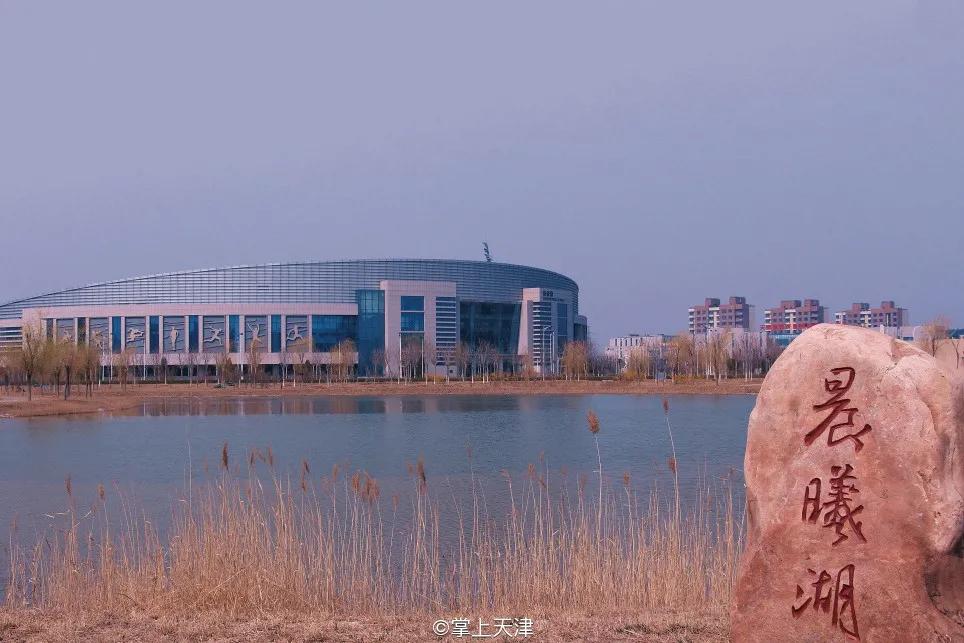 天津厉害的篮球学校,天津高校天津体育学院