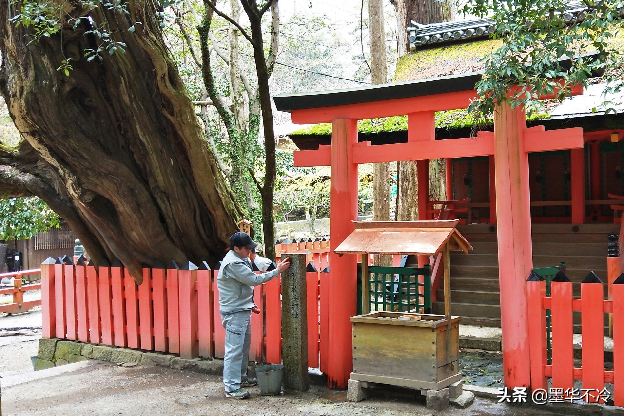 京都一眼千年的美景,京都永恒的美
