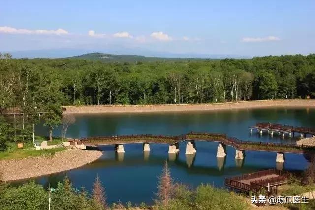 上海可带宠物入住的酒店推荐,怎么选宠物友好酒店房间