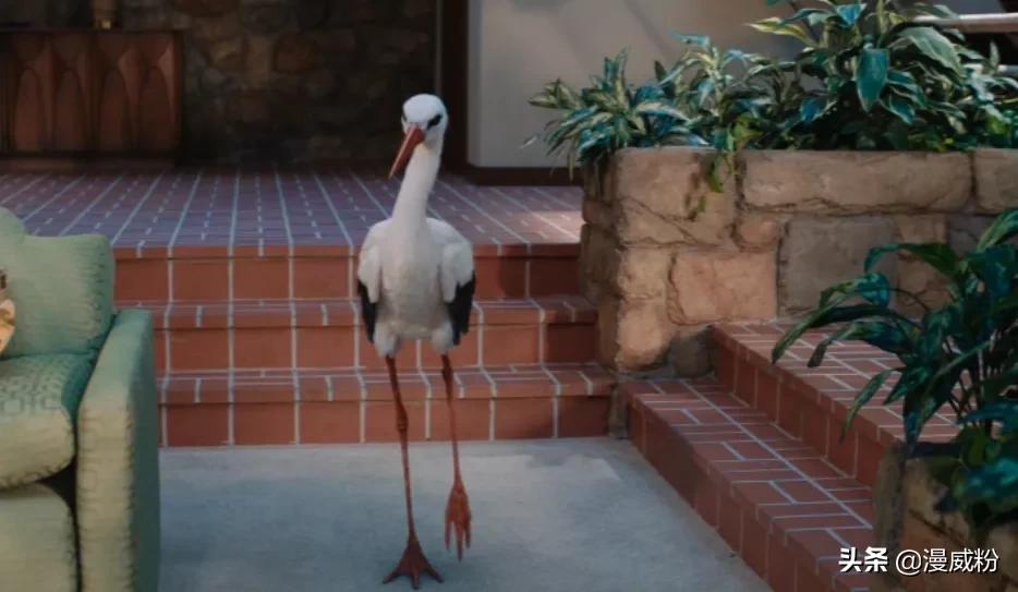 细思恐极,旺达能创造生命?《旺达幻视》第3集细节彩蛋全解析