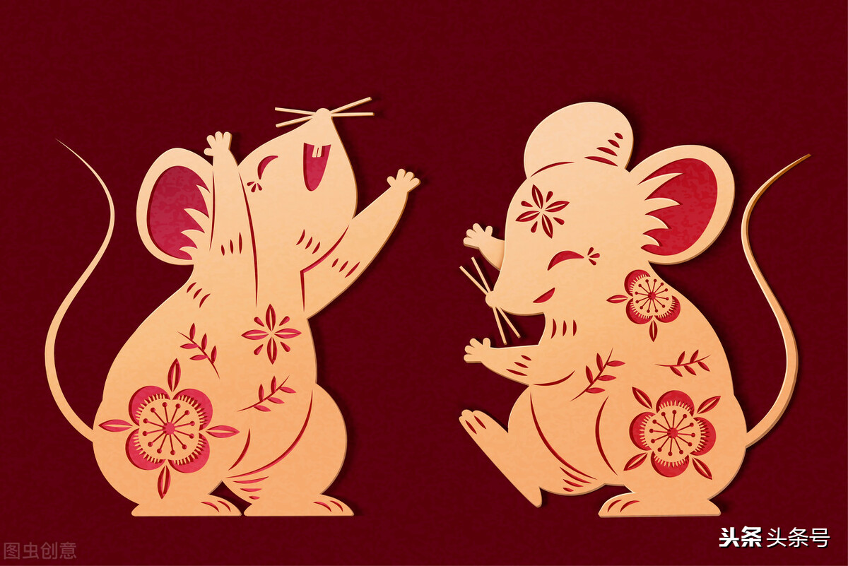 猫和老鼠的故事中文,猫和老鼠追白猫倾家荡产的故事