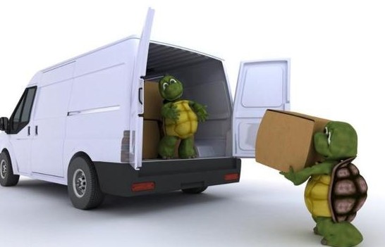 kaka集运,kawa集运国际快递