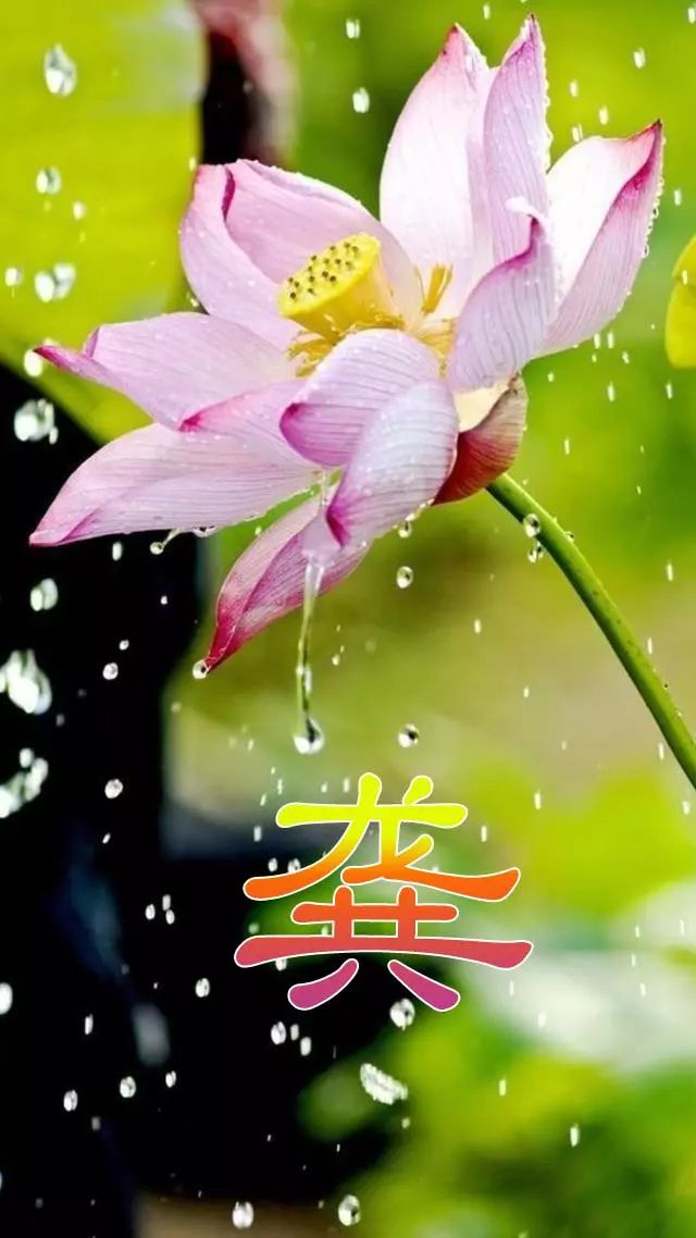 天然翡翠财字,翡翠字体图片欣赏