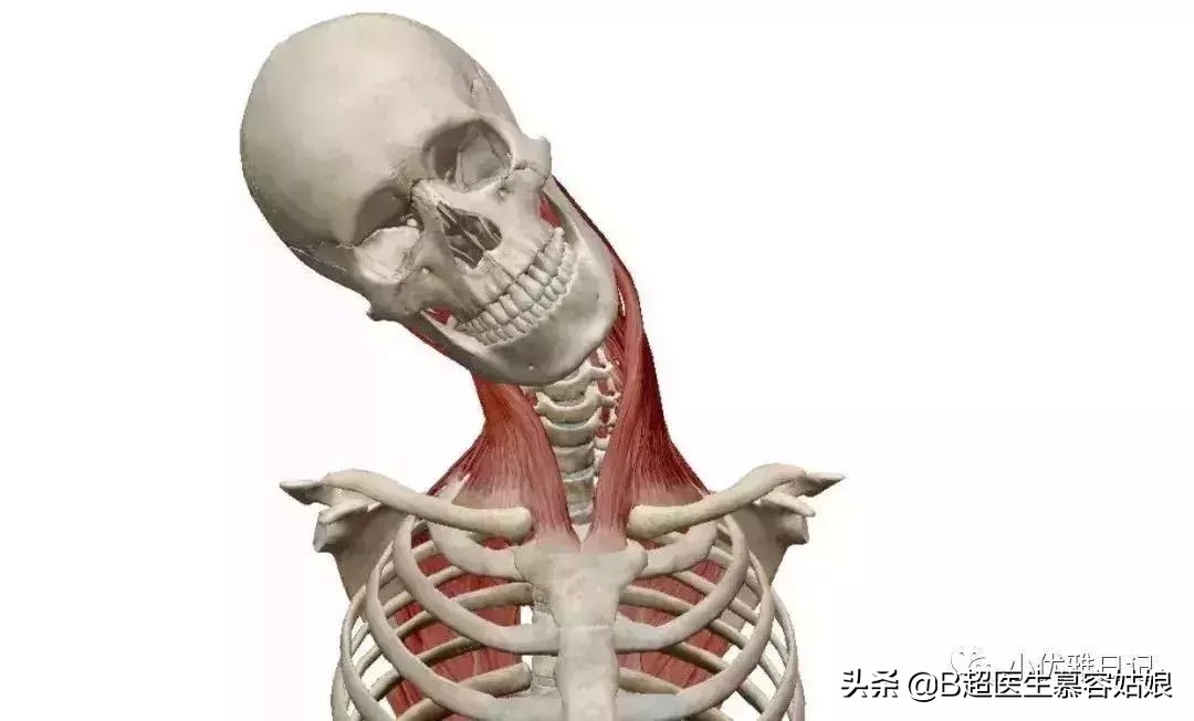 宝宝老是歪头后仰头,宝宝歪脖歪头怎么办