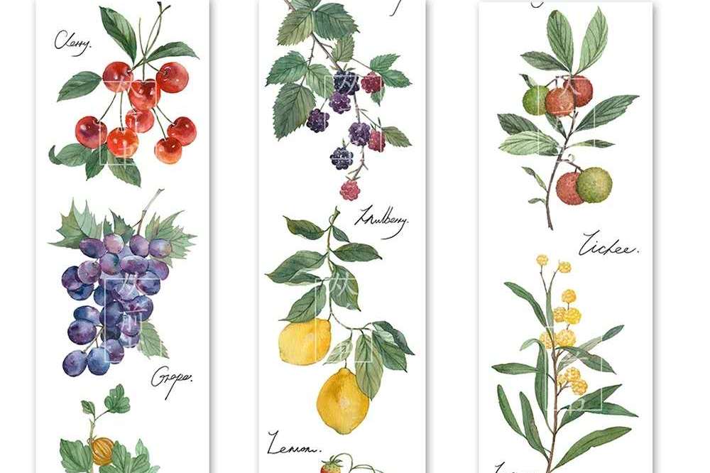 便宜又好用的手帐和社团胶带,手帐胶带分享推荐