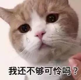 蹦迪摇头表情动图,斗图表情包聊天必备表情包