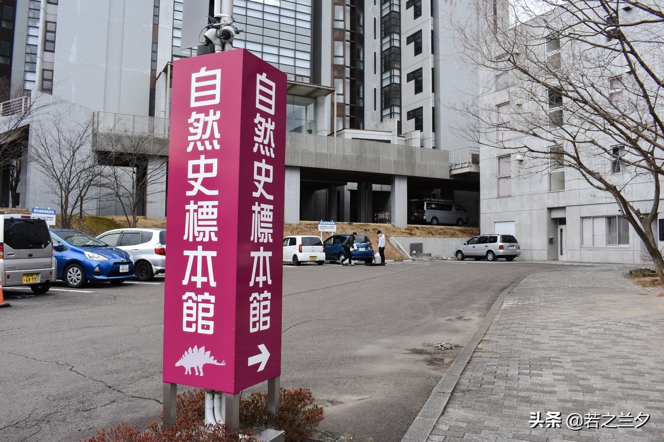 去日本仙台的攻略,日本仙台县旅游详细攻略