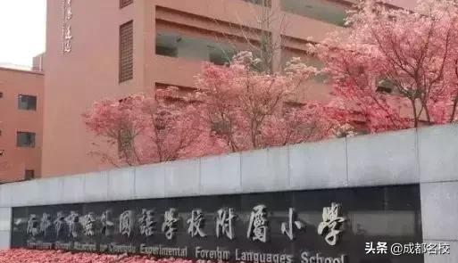 成都私立小学的小升初排名,2021成都私立小学校一览表
