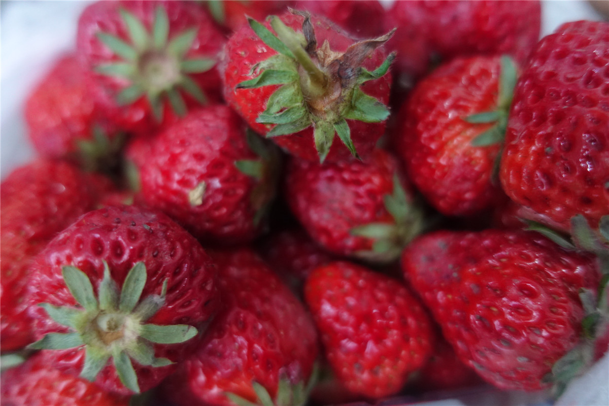 买草莓时遇到这3种万万不能买,买草莓时会遇到一些什么