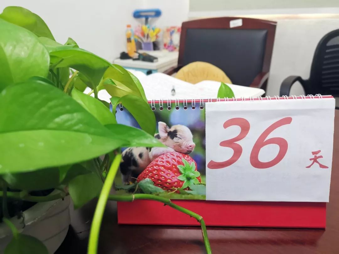 她在办公桌上放倒计时牌，只因不忍离别