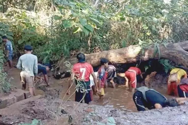 2019年，缅甸蟒蛇舍命报恩，冷血动物也有温情一面