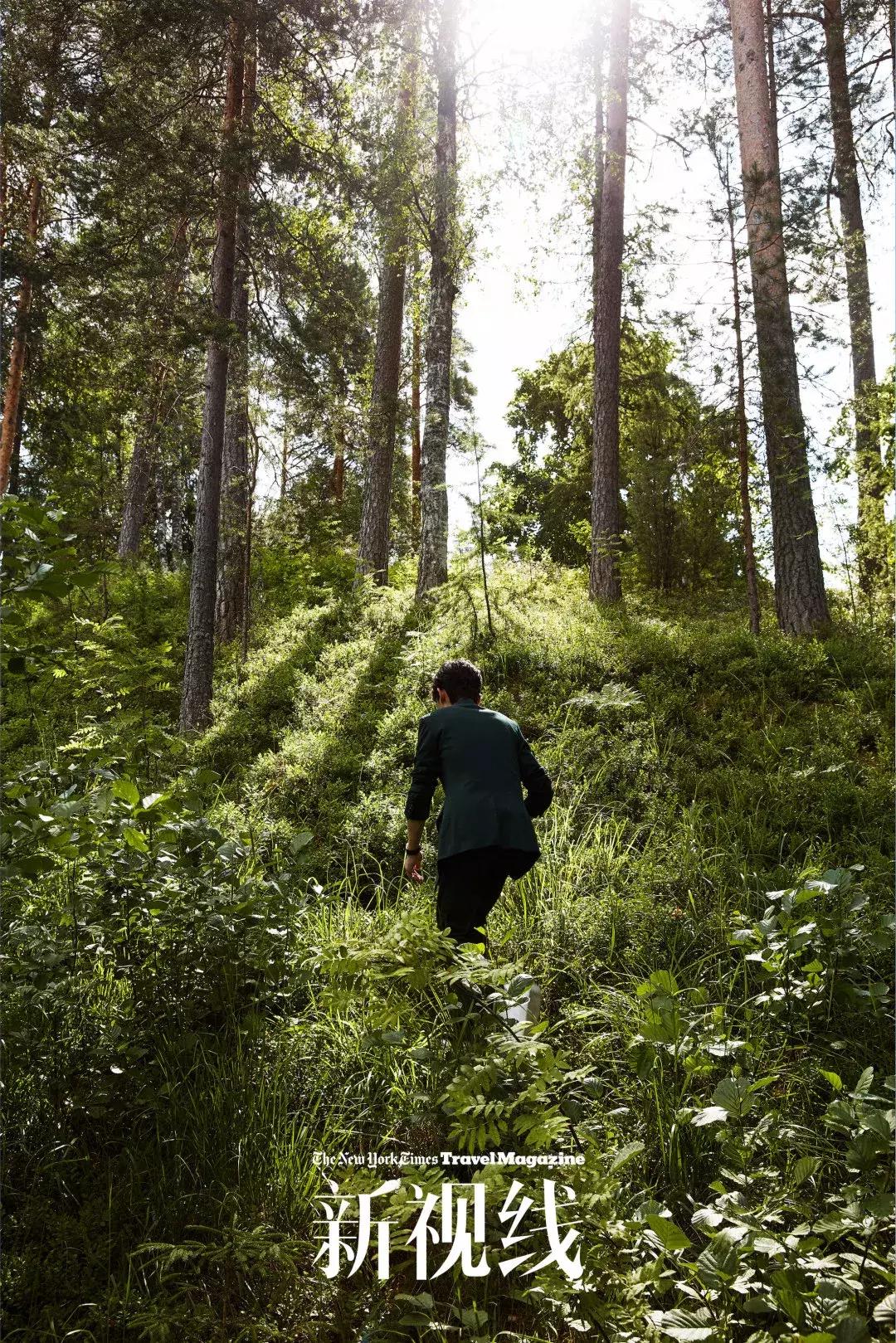 朱一龙北欧慢生活,朱一龙讲芬兰完整版