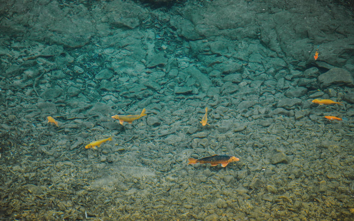 江浙沪藏在桐庐的绿野仙踪,浙江桐庐秘境山水