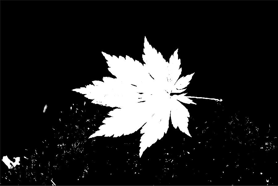 ps怎样把红叶背景人物照调色,秋景枫叶人像调色ps