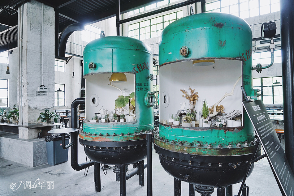 厦门没去过的地方,厦门没去过的景点