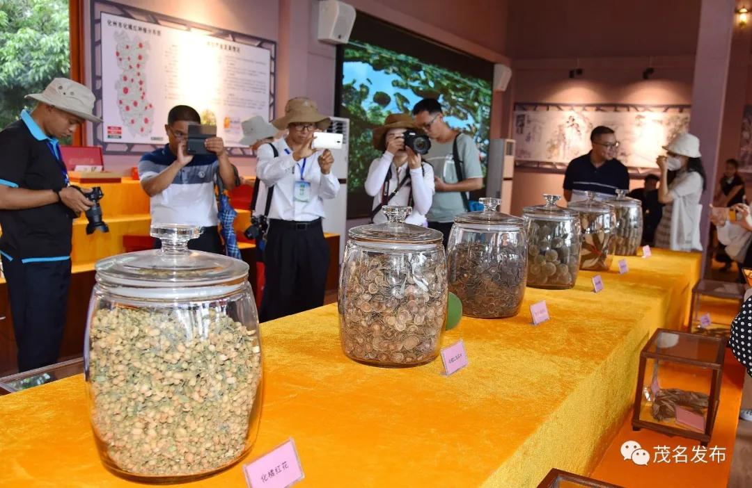 乡村振兴看辉煌,乡村振兴看东富