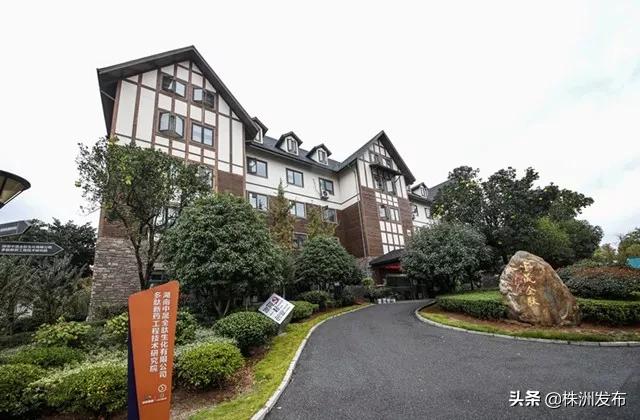 厉害了！云龙这家公司入选中国最佳创新公司50强