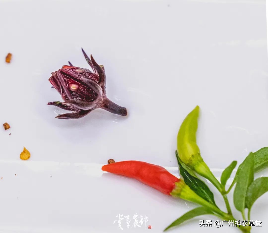 可以泡茶的冷门中药材,中草药泡茶系列有哪些