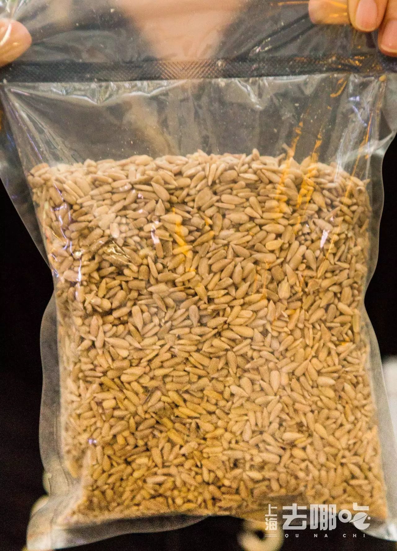 怪奇杂货店,惊奇杂货铺