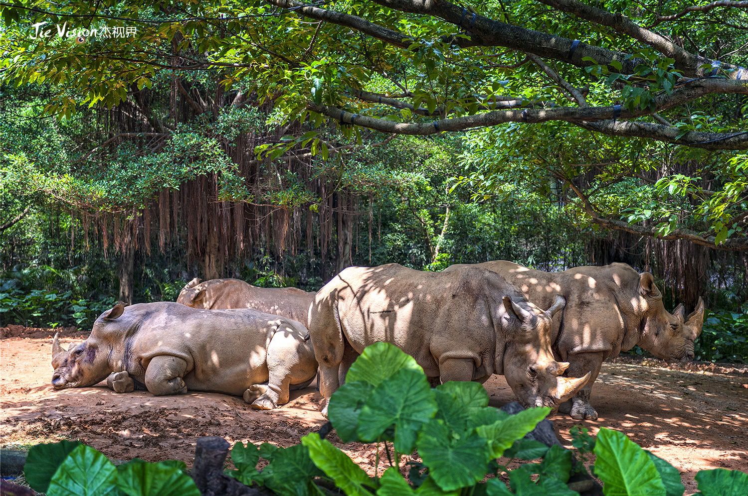 广州五一各大景区现状,广州五一有什么景点