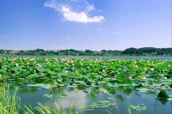 济宁免费游玩的好去处,济宁旅游夏天攻略图
