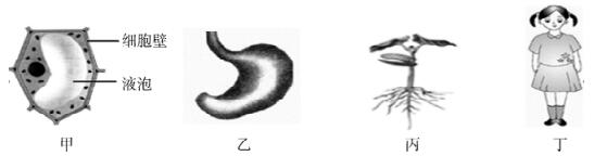临沂七年级上册生物期末各区试卷,临沂市河东区七年级上册生物试卷