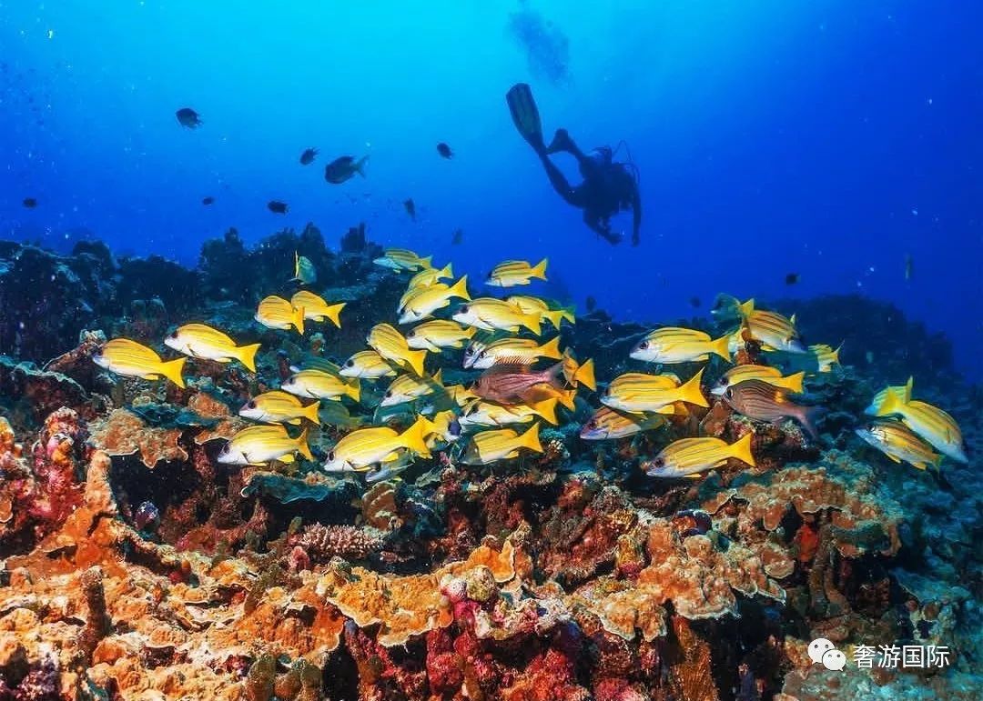 马代香格里拉岛攻略,香格里拉岛攻略