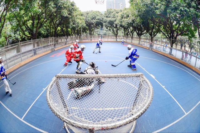 广州市四十一中学招生电话,广州市第四十一中学电话