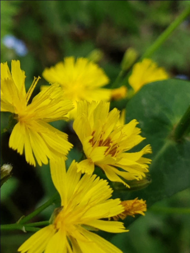 悠闲的时光惬意的生活,一个人的惬意时光诗词