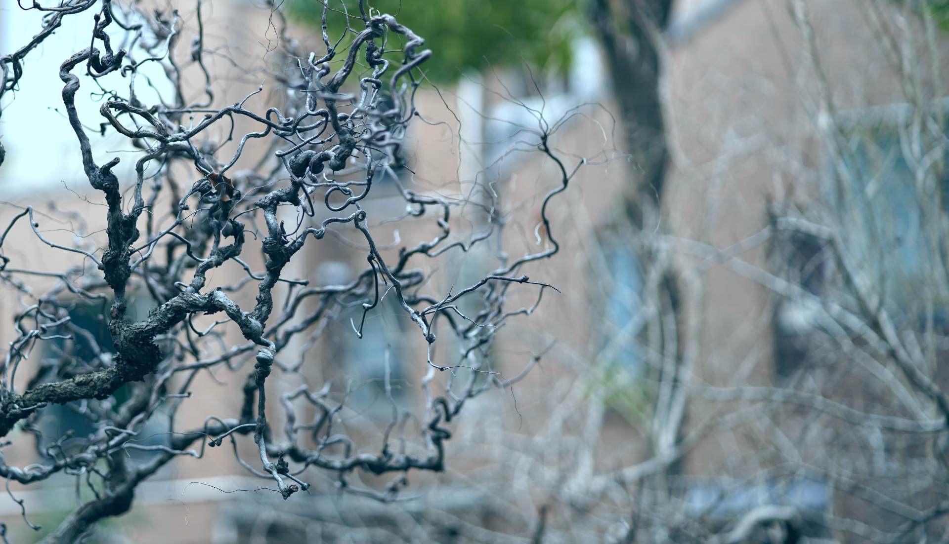 相机入坑配件,新手小白必备相机配件推荐