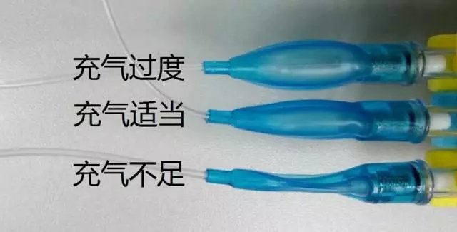 动物麻醉气管插管全过程,动物气管插管实验步骤