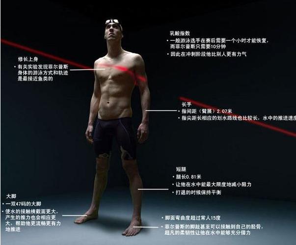 体育人博尔特,体坛五大非人类身体结构