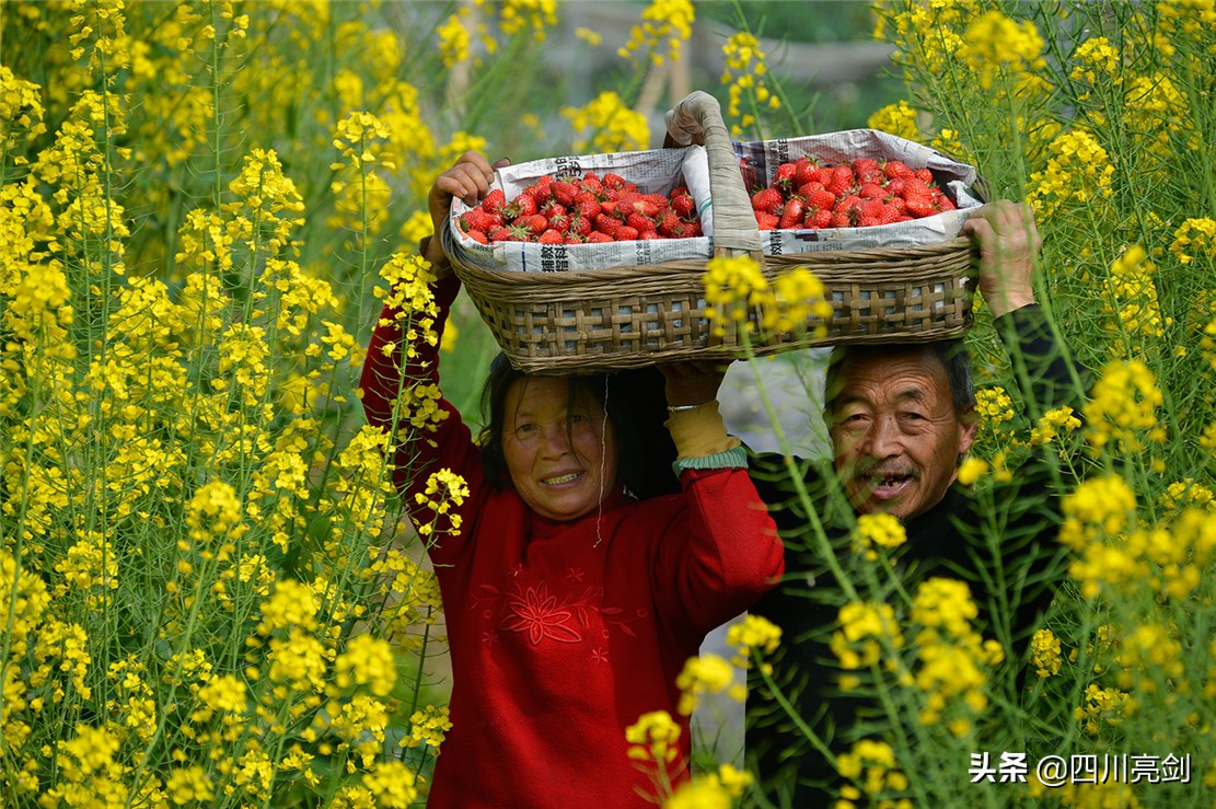 致敬无悔的青春,致敬无悔的青春完整版