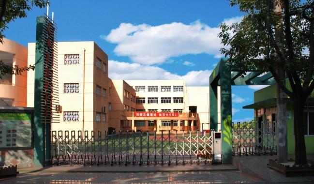 武侯区棕北西区小学好不好,武侯区弟维小学和棕北小学哪个好