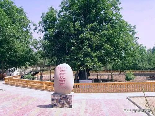 南疆印象三岔口,南疆印象系列简介