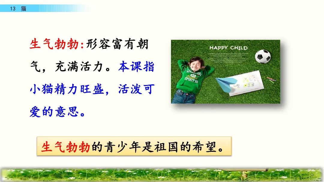 四年级下册语文13课猫课文解析,部编版四年级下册13猫教学视频